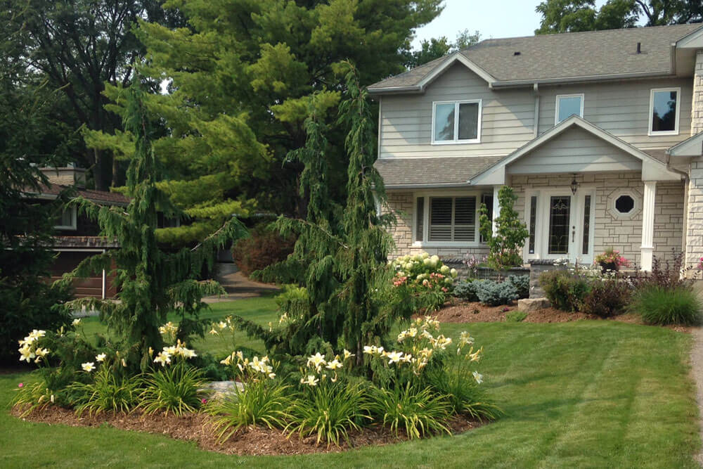 trees and gardens