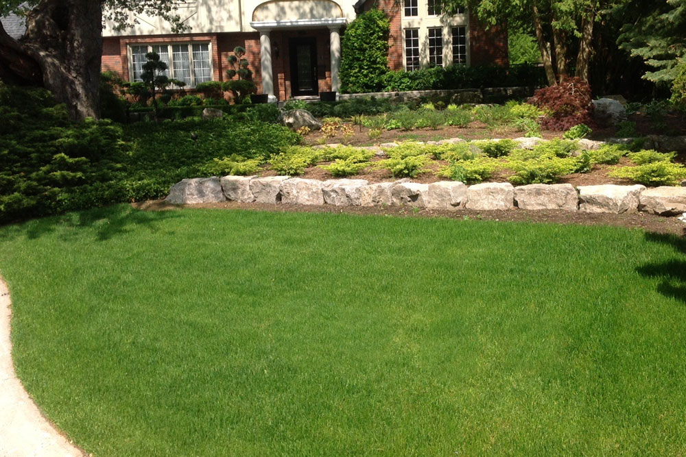 lawn care